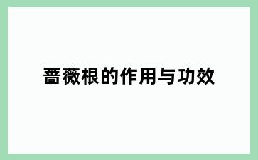 蔷薇根的作用与功效