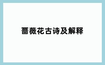 蔷薇花古诗及解释