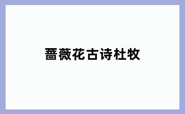 蔷薇花古诗杜牧