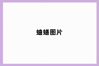 蛐蟮图片