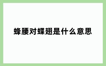 蜂腰对蝶翅是什么意思