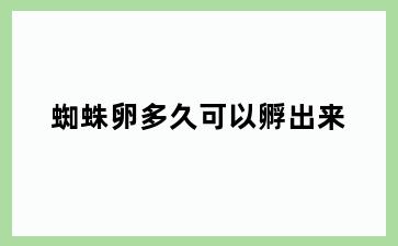 蜘蛛卵多久可以孵出来