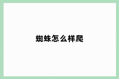 蜘蛛怎么样爬
