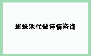 蜘蛛池代做详情咨询