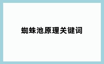 蜘蛛池原理关键词