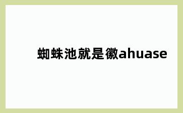 蜘蛛池就是徽ahuase