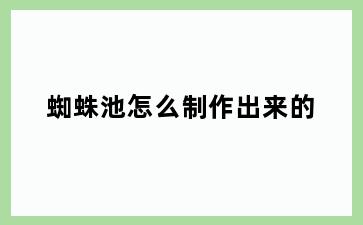 蜘蛛池怎么制作出来的