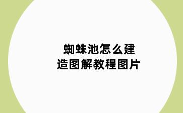 蜘蛛池怎么建造图解教程图片