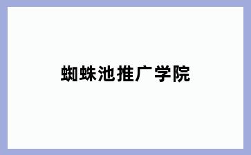 蜘蛛池推广学院