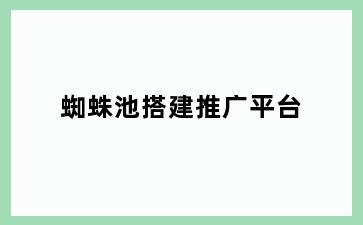 蜘蛛池搭建推广平台