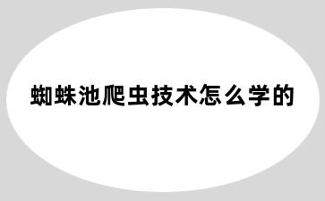 蜘蛛池爬虫技术怎么学的