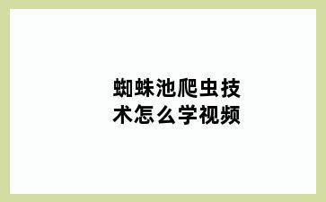 蜘蛛池爬虫技术怎么学视频