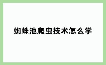 蜘蛛池爬虫技术怎么学