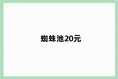 蜘蛛池20元