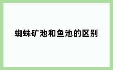 蜘蛛矿池和鱼池的区别