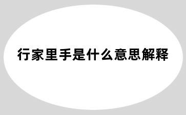 行家里手是什么意思解释