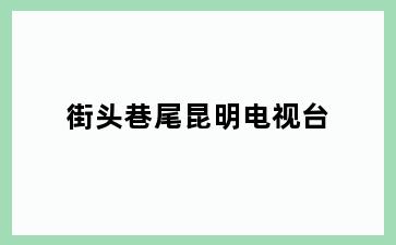 街头巷尾昆明电视台