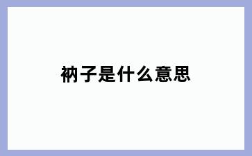 衲子是什么意思