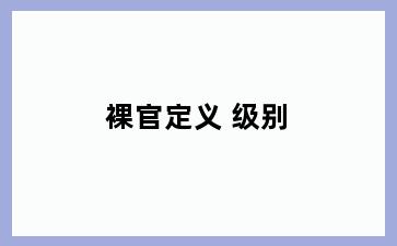 裸官定义 级别