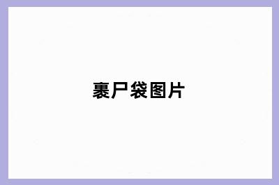 裹尸袋图片