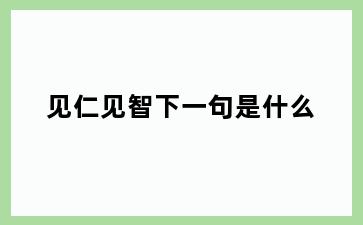 见仁见智下一句是什么