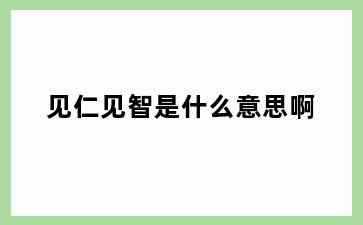 见仁见智是什么意思啊