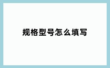 规格型号怎么填写