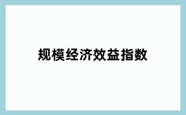 规模经济效益指数