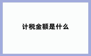 计税金额是什么