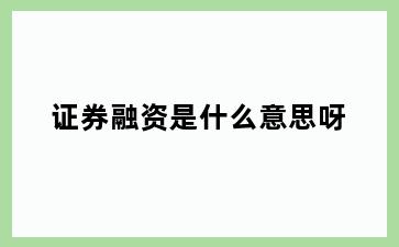 证券融资是什么意思呀