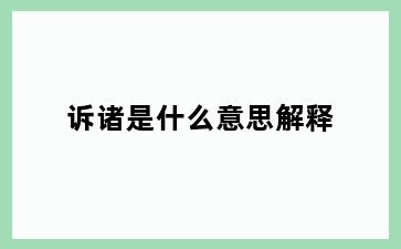 诉诸是什么意思解释