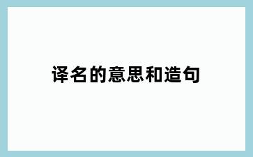 译名的意思和造句