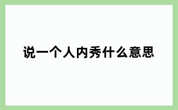 说一个人内秀什么意思