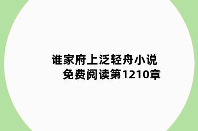 谁家府上泛轻舟小说免费阅读第1210章
