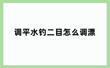 调平水钓二目怎么调漂