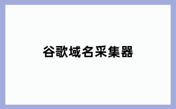 谷歌域名采集器