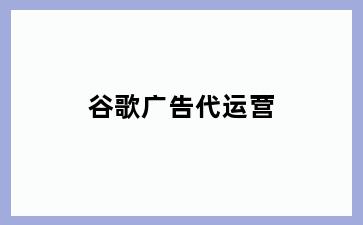 谷歌广告代运营