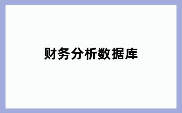 财务分析数据库