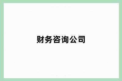 财务咨询公司
