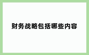 财务战略包括哪些内容