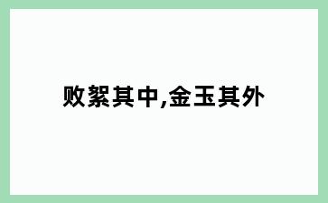 败絮其中,金玉其外