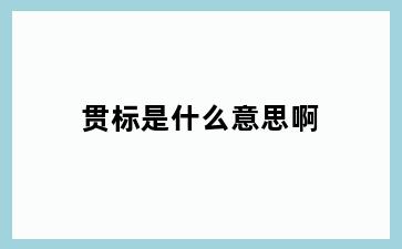 贯标是什么意思啊