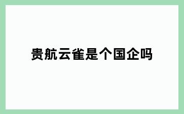 贵航云雀是个国企吗