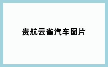 贵航云雀汽车图片
