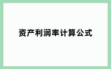 资产利润率计算公式