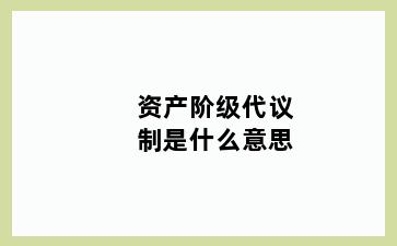 资产阶级代议制是什么意思