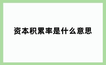 资本积累率是什么意思