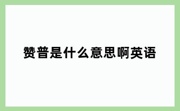 赞普是什么意思啊英语