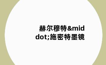 赫尔穆特·施密特墨镜