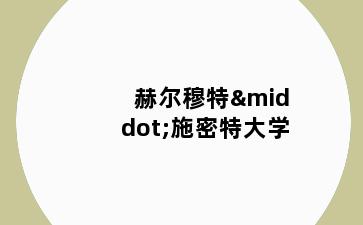 赫尔穆特·施密特大学